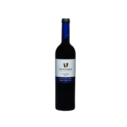 Vision Shiraz